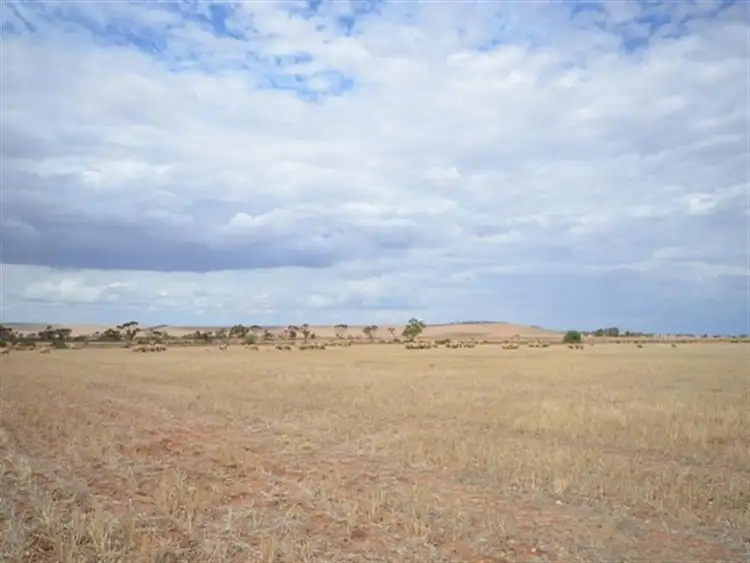 Third view of Homely rural property listing, 3 Chain Road, Beaufort SA 5550