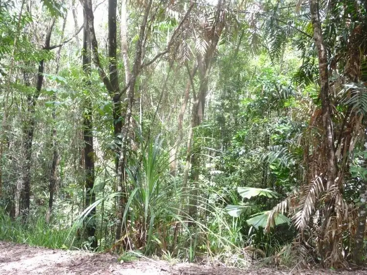 Lot 16 Forest Close, Daintree QLD 4873