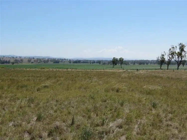 Second view of Homely rural property listing, 21 Big Jacks Creek Road, Willow Tree NSW 2339