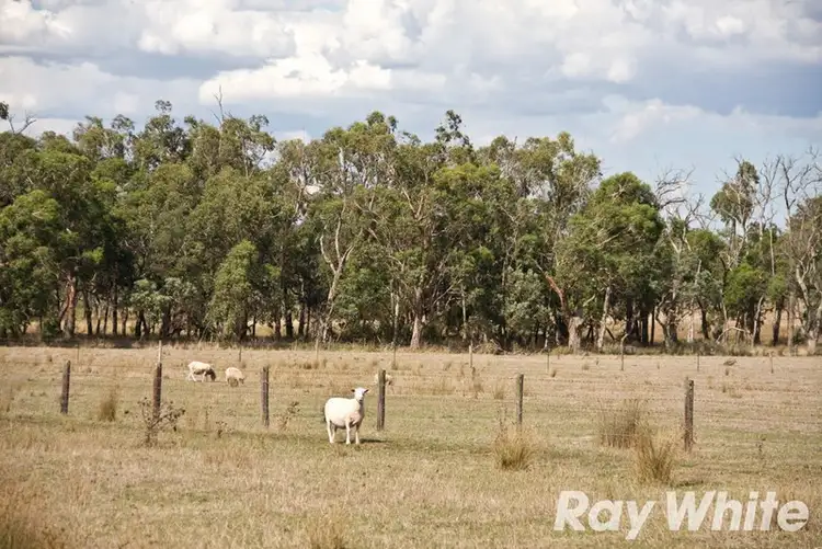 Fourth view of Homely rural property listing, 60 Hillbrick Road, Garfield VIC 3814