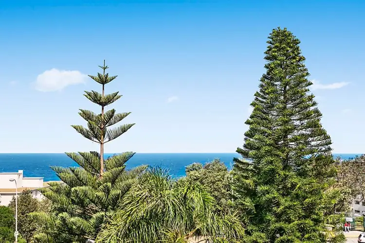 Fifth view of Homely apartment listing, 5/2 Francis Street, Bondi Beach NSW 2026