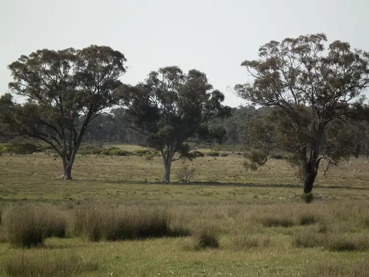 Fourth view of Homely rural property listing, "Dwyers" Snipey Road, Kirwans Bridge VIC 3608