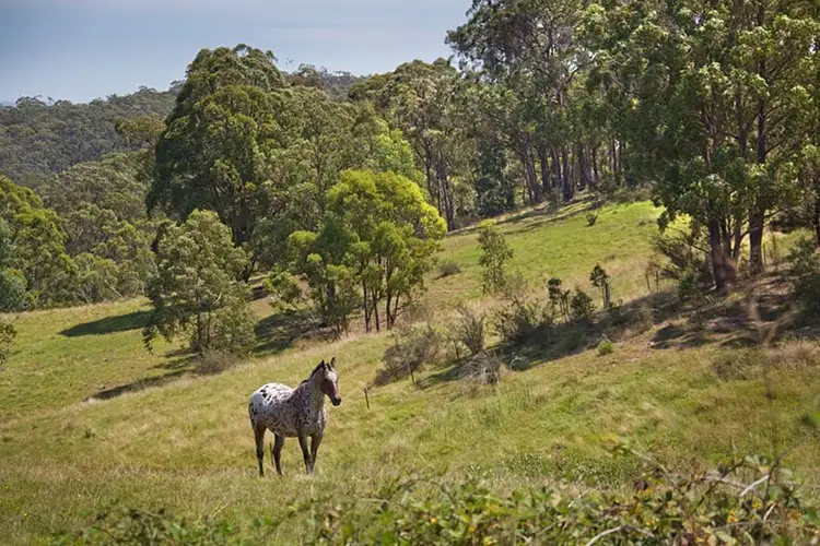 Third view of Homely land listing, 53 Bonnie Blink Drive, Little Hartley NSW 2790