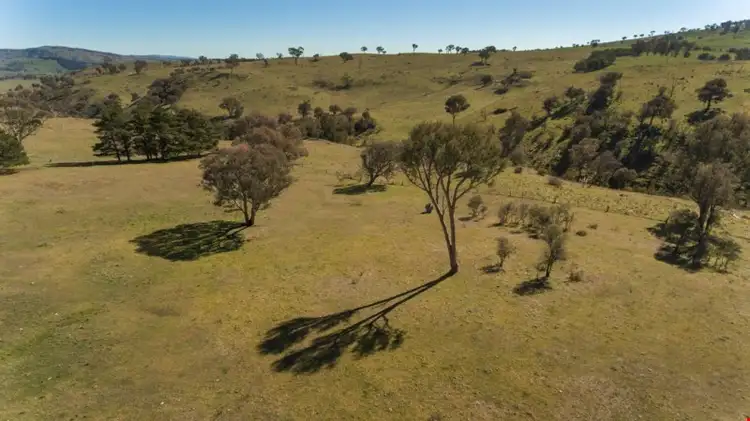 Seventh view of Homely rural property listing, Lot 1, 205 Oakey Creek Road, Wallaroo NSW 2618