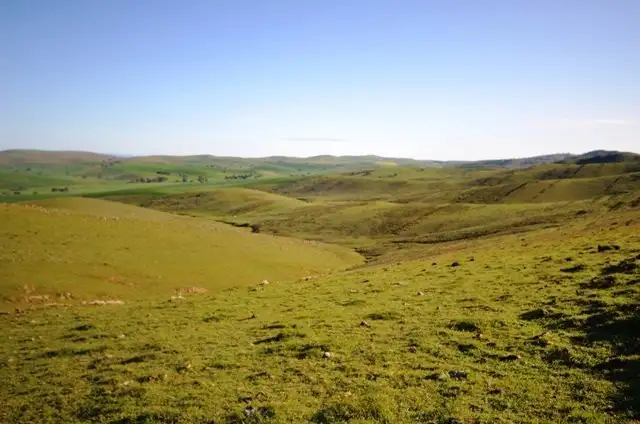Main view of Homely rural property listing, "Ashleys" Patterson Road, Gulnare SA 5471
