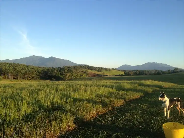 Second view of Homely rural property listing, Lot 5 Bruce Highway, Vasa Views QLD 4860