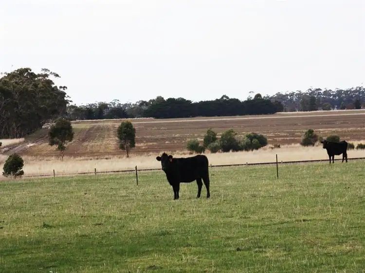Fourth view of Homely rural property listing, 28 Taylor Street, Derrinallum VIC 3325