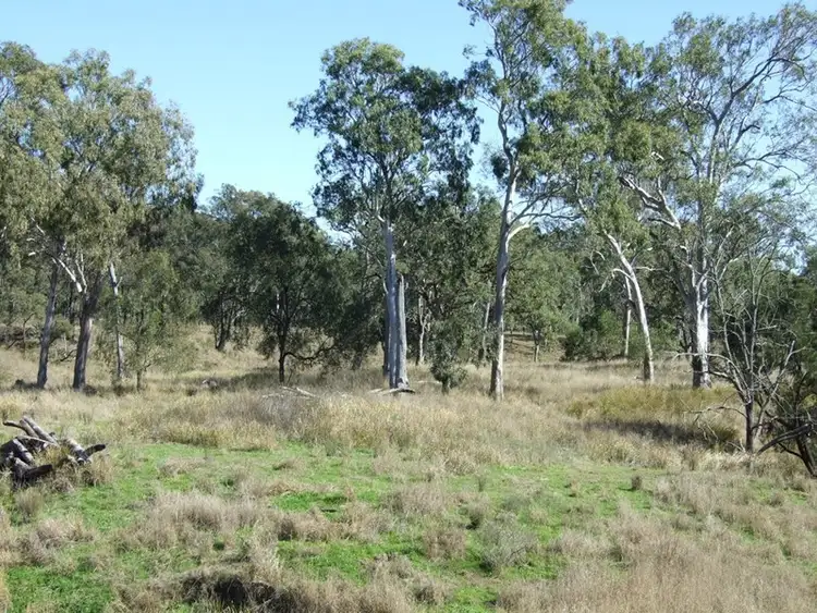 Seventh view of Homely rural property listing, 233 Coalbank Road, Crows Nest QLD 4355