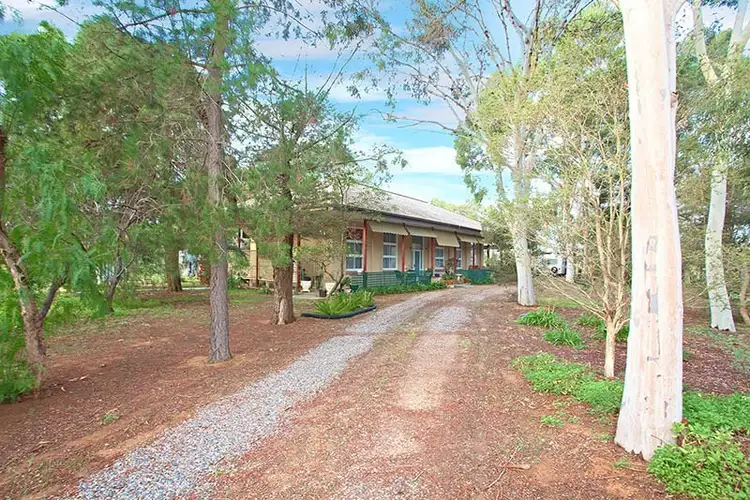 42 McIntyre Road, Macdonald Park SA 5121