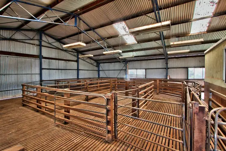 Fifth view of Homely rural property listing, "Newikie" Old Belcunda Road, Mount Bryan SA 5418