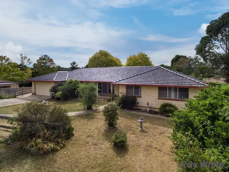 Main view of Homely house listing, 11 Chestnut Avenue, Armidale NSW 2350