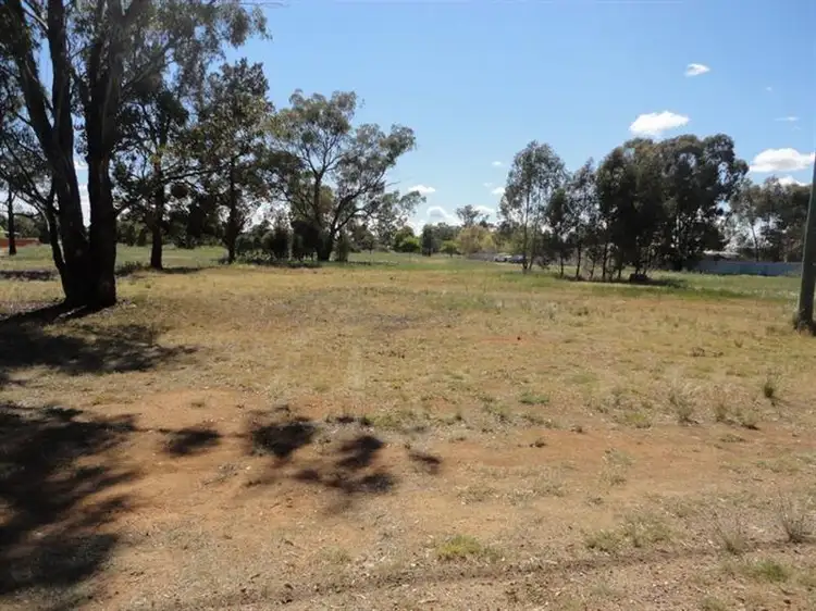 Fifth view of Homely land listing, 11 Hopetoun Street, Ariah Park NSW 2665