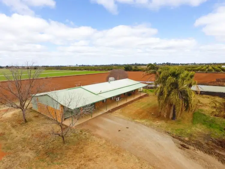 Fourth view of Homely rural property listing, Farm 1653A Rankins Springs Road, Beelbangera NSW 2680