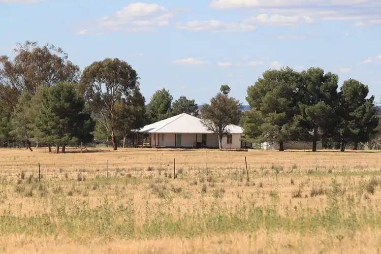 Seventh view of Homely rural property listing, 1 "Carramar", Forbes NSW 2871