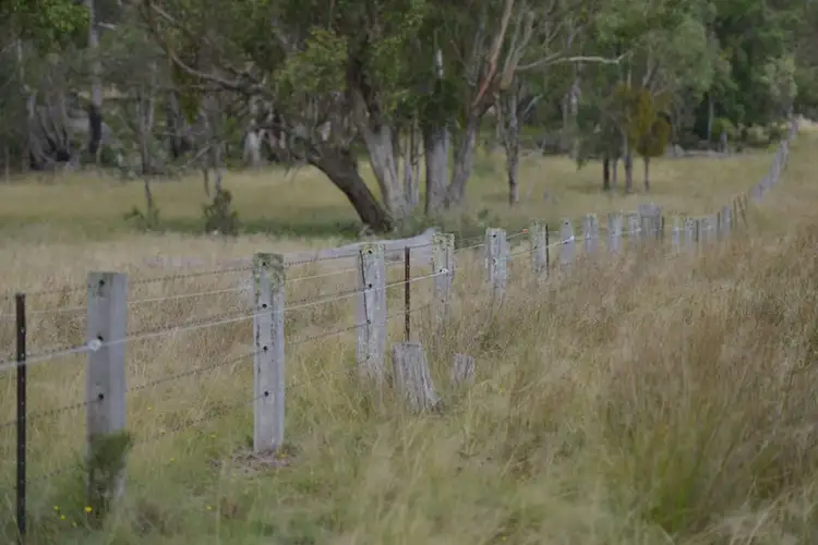 Fourth view of Homely rural property listing, 496 Sunnyside Loop Road, Tenterfield NSW 2372