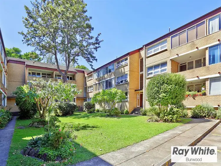 14 115 Alt Street, Ashfield NSW 2131