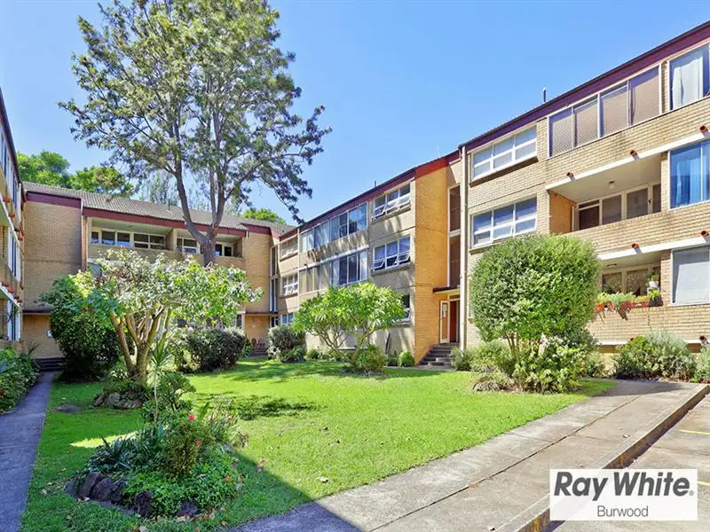 Main view of Homely apartment listing, 14 115 Alt Street, Ashfield NSW 2131