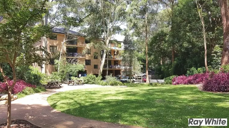1/2 Peckham Avenue, Chatswood NSW 2067