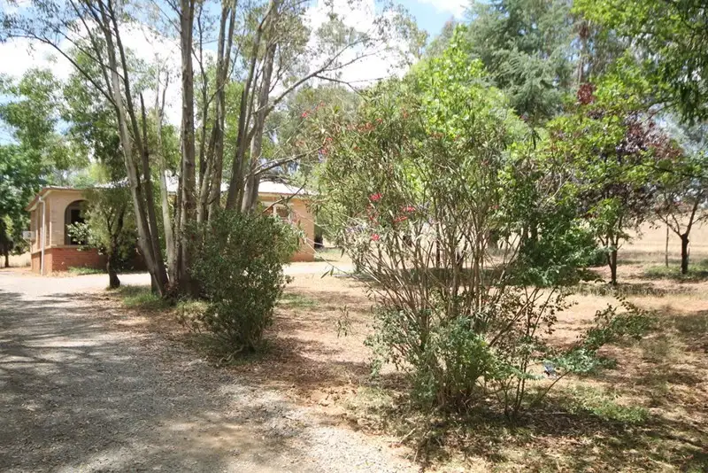 Main view of Homely rural property listing, 99 Stanley Park Road, Young NSW 2594
