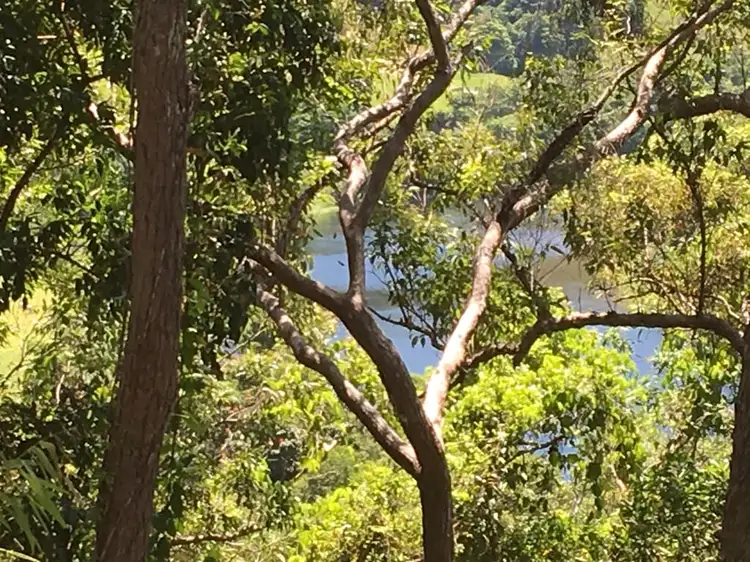Fourth view of Homely land listing, Lot 1 Stewart Creek Road, Daintree QLD 4873