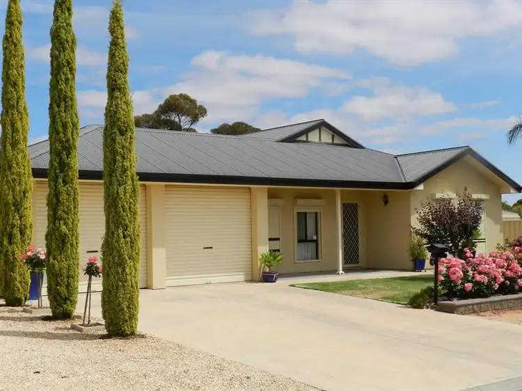 Main view of Homely house listing, 13 Milich Court, Loxton SA 5333