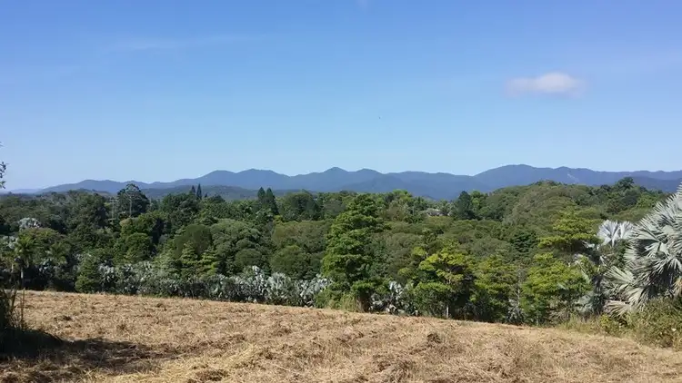 Sixth view of Homely land listing, Lot 40 Salisbury Drive, Julatten QLD 4871