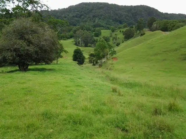 Main view of Homely land listing, 1318 Currumbin Creek Road, Currumbin Valley QLD 4223