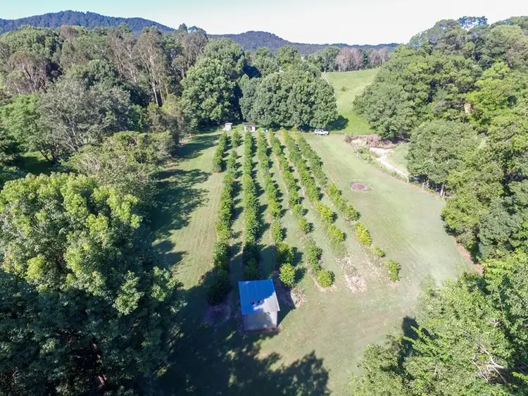 445 Tomewin Road, Murwillumbah NSW 2484