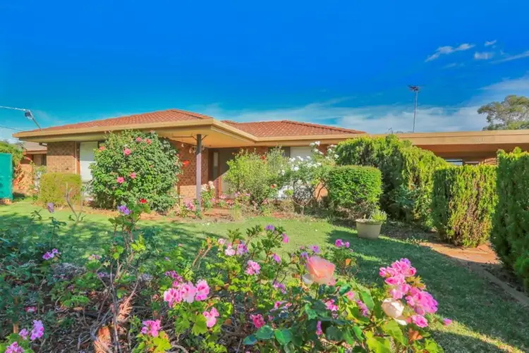 331 Walnut Avenue, Mildura VIC 3500