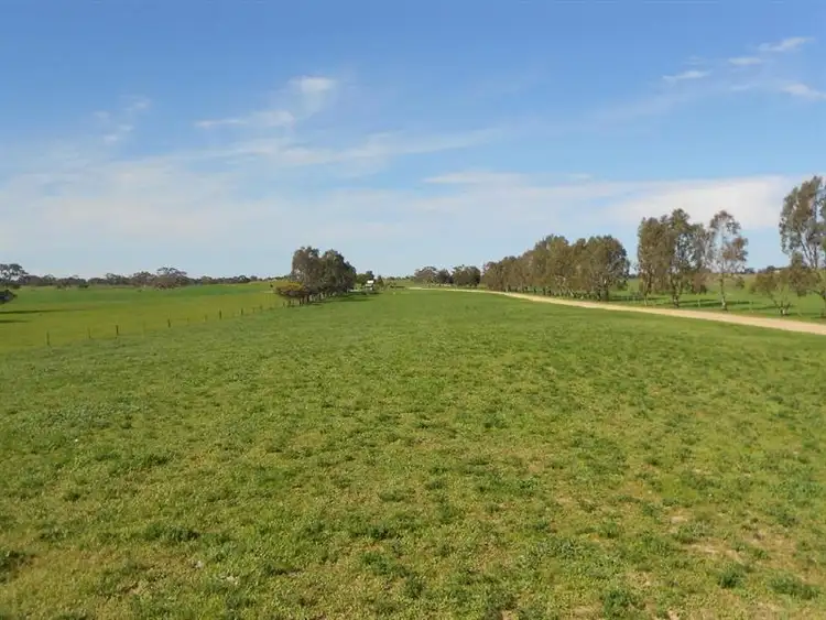 Third view of Homely rural property listing, 2134 Naracoorte Road, Bordertown SA 5268