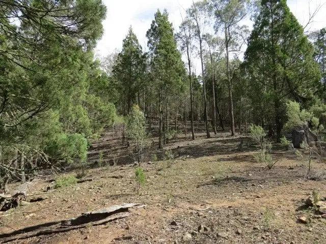 Second view of Homely rural property listing, Lot 5/1815 Kangarooby Road, Gooloogong NSW 2805