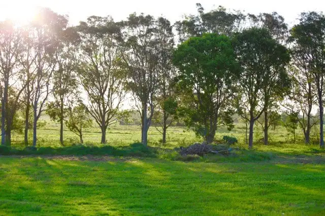 Fourth view of Homely land listing, 89 Newby Road, Pampoolah NSW 2430