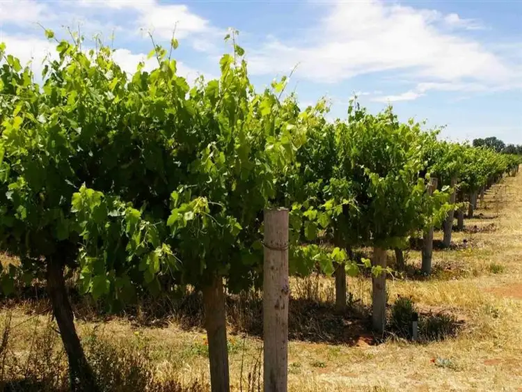 Third view of Homely land listing, Lot 101 Ral Ral Avenue, Renmark SA 5341