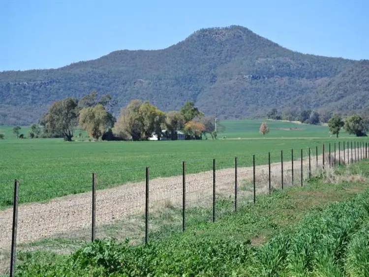 Second view of Homely rural property listing, Couradda North Couradda Road, Narrabri NSW 2390