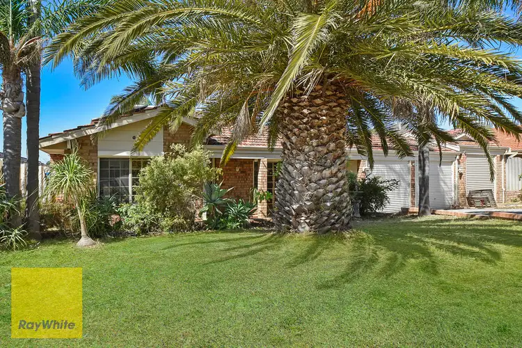 Fourth view of Homely house listing, 34 Rosebury Avenue, Alexander Heights WA 6064