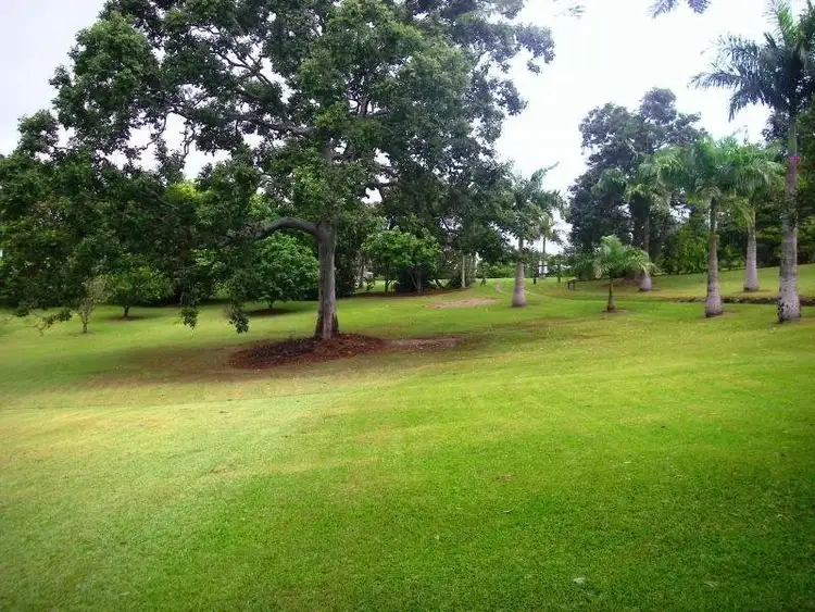 Second view of Homely house listing, 65 Salisbury Drive, Julatten QLD 4871