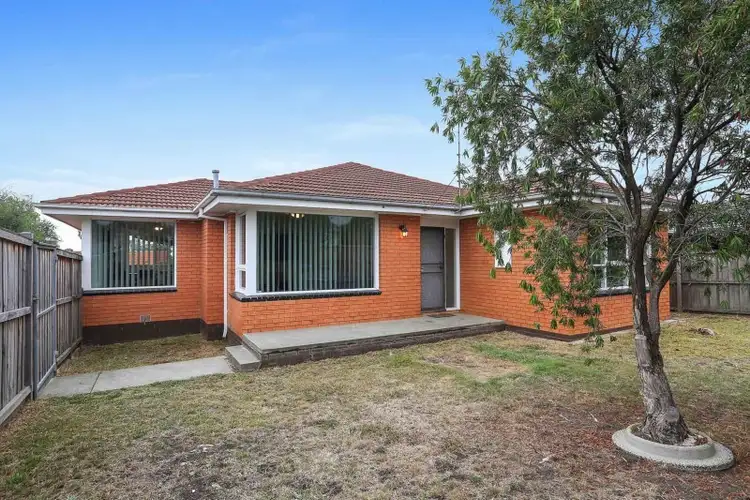 351 High Street, Belmont VIC 3216