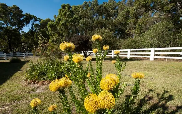 Fourth view of Homely rural property listing, Lot 4036 Vasse Highway, Nannup WA 6275