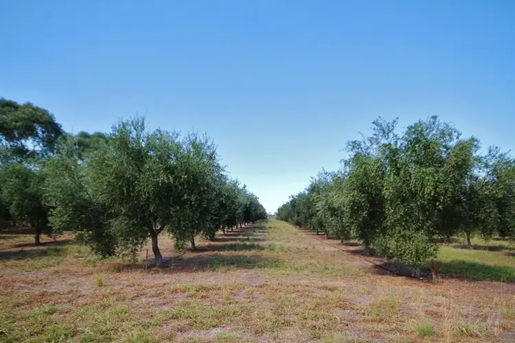 Third view of Homely land listing, 927 Monteagle Stock Route East, Monteagle via, Young NSW 2594