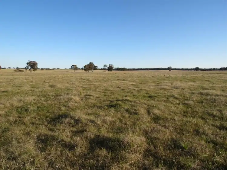 Third view of Homely rural property listing, 741 Lot 31 Thanowring Road, Temora NSW 2666