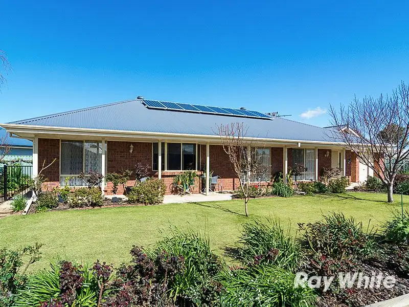 Main view of Homely house listing, 53 Strathmont Drive, Strathalbyn SA 5255