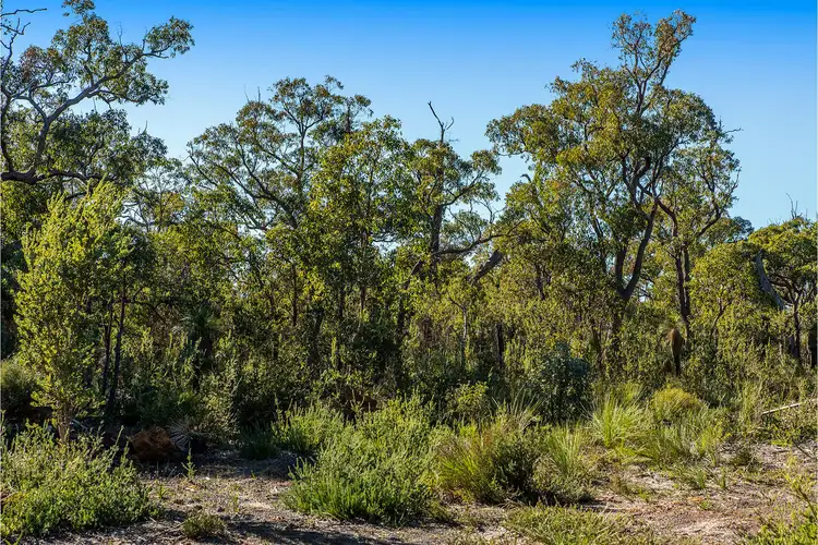 Second view of Homely rural property listing, 9 Pipe Lily Way, Lower Chittering WA 6084