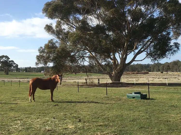 Fourth view of Homely rural property listing, Lot 7 Wadsworth Road, Stawell VIC 3380