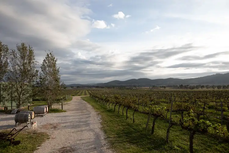 Seventh view of Homely rural property listing, 72 McDonalds Road, Mudgee NSW 2850