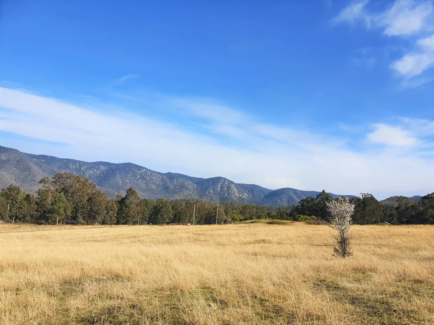 Main view of Homely rural property listing, 30 Naughtons Close, Araluen NSW 2622