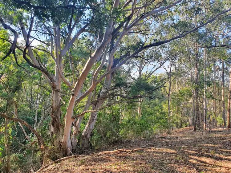 Sixth view of Homely rural property listing, 30 Naughtons Close, Araluen NSW 2622