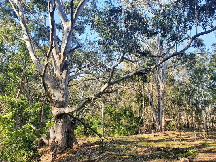 Seventh view of Homely rural property listing, 30 Naughtons Close, Araluen NSW 2622