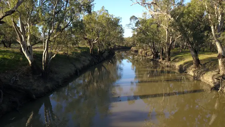 Sixth view of Homely rural property listing, 1655 'Back Micabil' Kiacatoo Road, Condobolin NSW 2877