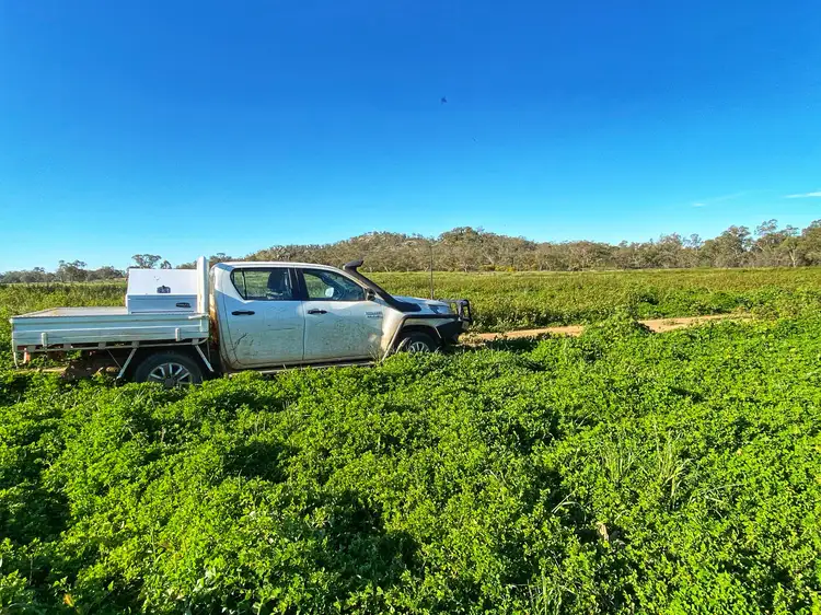 Second view of Homely rural property listing, Killara 6921 Lachlan Valley Way, Condobolin NSW 2877