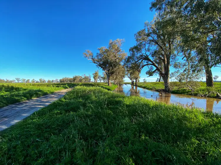 Third view of Homely rural property listing, Killara 6921 Lachlan Valley Way, Condobolin NSW 2877